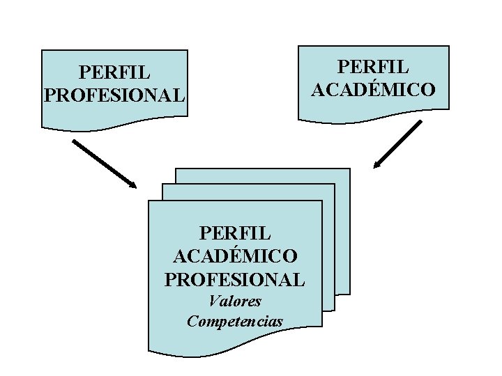 PERFIL ACADÉMICO PERFIL PROFESIONAL PERFIL ACADÉMICO PROFESIONAL Valores Competencias 