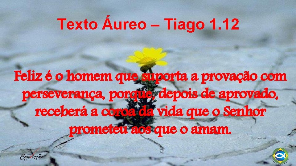 Texto Áureo – Tiago 1. 12 Feliz é o homem que suporta a provação