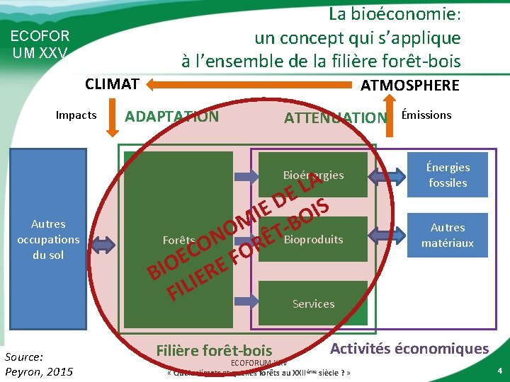 La bioéconomie: un concept qui s’applique à l’ensemble de la filière forêt-bois ECOFOR UM