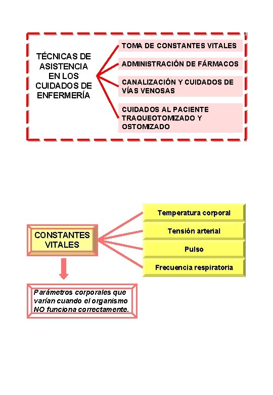 TOMA DE CONSTANTES VITALES TÉCNICAS DE ASISTENCIA EN LOS CUIDADOS DE ENFERMERÍA ADMINISTRACIÓN DE