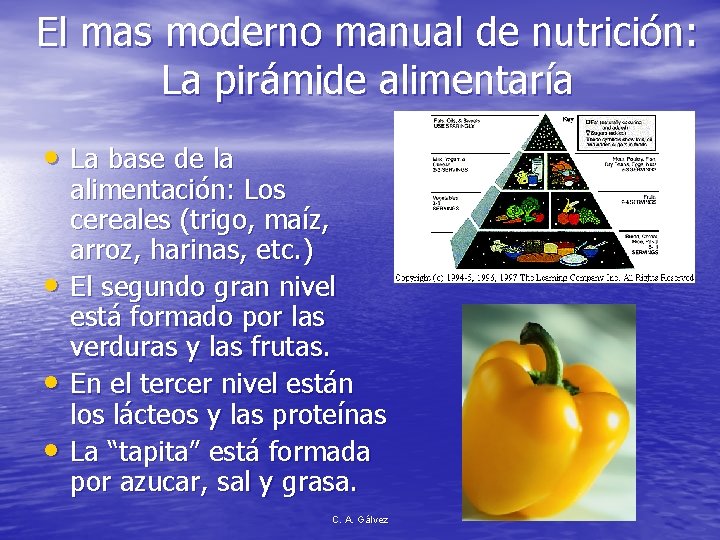 El mas moderno manual de nutrición: La pirámide alimentaría • La base de la