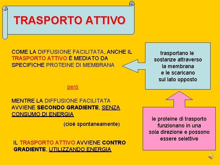 TRASPORTO ATTIVO COME LA DIFFUSIONE FACILITATA, ANCHE IL TRASPORTO ATTIVO È MEDIATO DA SPECIFICHE TRASPORTO ATTIVO COME LA DIFFUSIONE FACILITATA, ANCHE IL TRASPORTO ATTIVO È MEDIATO DA SPECIFICHE