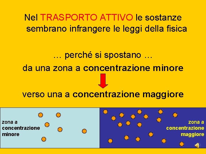 Nel TRASPORTO ATTIVO le sostanze sembrano infrangere le leggi della fisica … perché si Nel TRASPORTO ATTIVO le sostanze sembrano infrangere le leggi della fisica … perché si