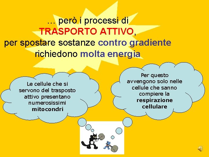 … però i processi di TRASPORTO ATTIVO, per spostare sostanze contro gradiente richiedono molta … però i processi di TRASPORTO ATTIVO, per spostare sostanze contro gradiente richiedono molta