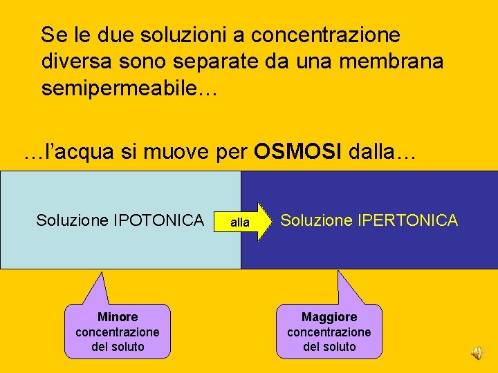 Se le due soluzioni a concentrazione diversa sono separate da una membrana semipermeabile… …l’acqua Se le due soluzioni a concentrazione diversa sono separate da una membrana semipermeabile… …l’acqua