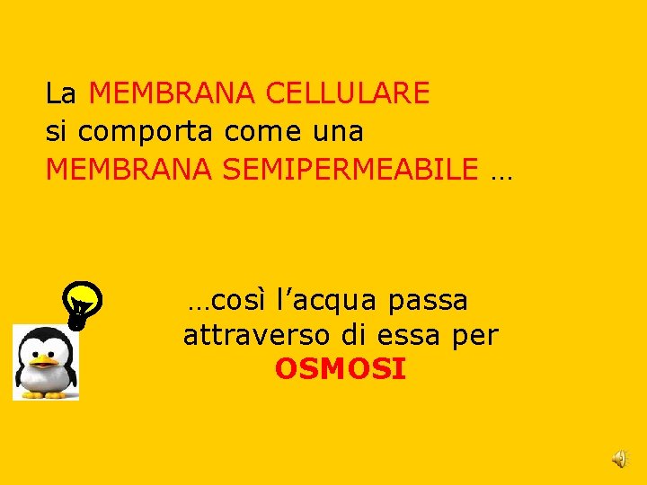 La MEMBRANA CELLULARE si comporta come una MEMBRANA SEMIPERMEABILE … …così l’acqua passa attraverso La MEMBRANA CELLULARE si comporta come una MEMBRANA SEMIPERMEABILE … …così l’acqua passa attraverso