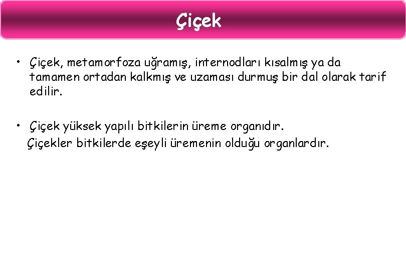 Çiçek • Çiçek, metamorfoza uğramış, internodları kısalmış ya da tamamen ortadan kalkmış ve uzaması