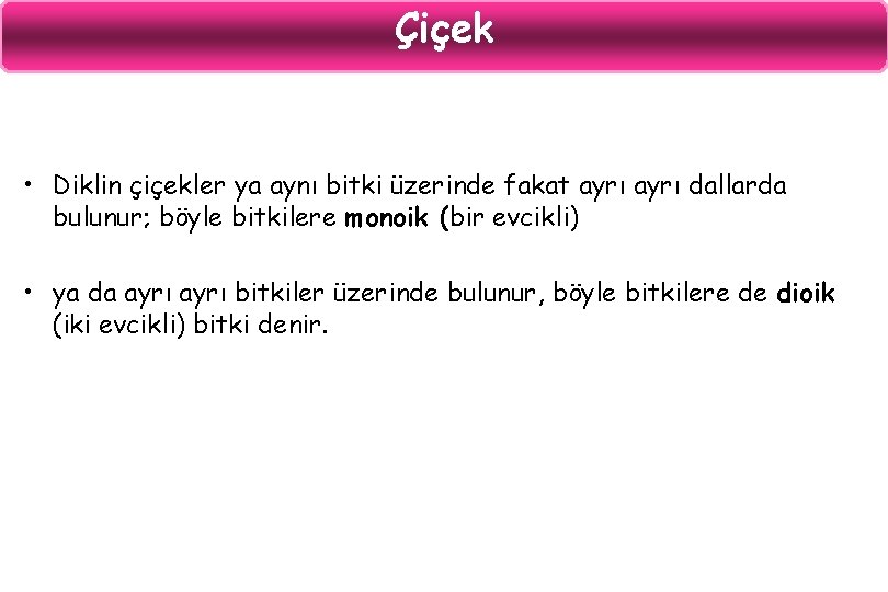 Çiçek • Diklin çiçekler ya aynı bitki üzerinde fakat ayrı dallarda bulunur; böyle bitkilere