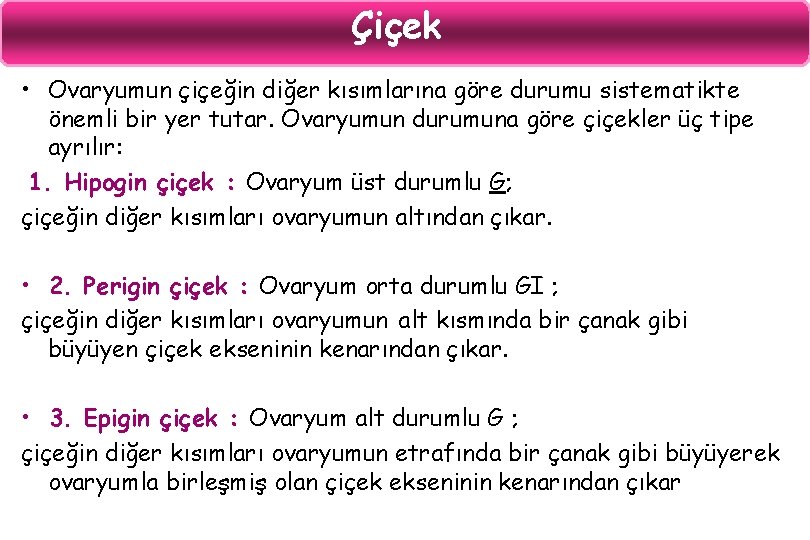 Çiçek • Ovaryumun çiçeğin diğer kısımlarına göre durumu sistematikte önemli bir yer tutar. Ovaryumun