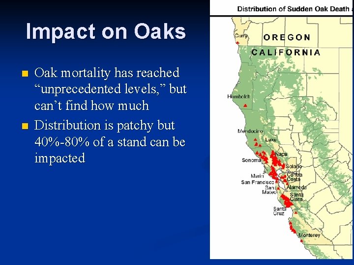Impact on Oaks n n Oak mortality has reached “unprecedented levels, ” but can’t