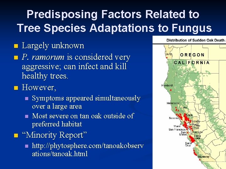 Predisposing Factors Related to Tree Species Adaptations to Fungus n n n Largely unknown