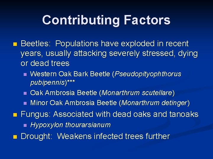 Contributing Factors n Beetles: Populations have exploded in recent years, usually attacking severely stressed,
