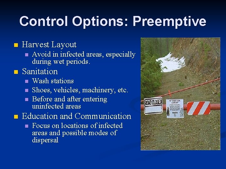 Control Options: Preemptive n Harvest Layout n n Sanitation n n Avoid in infected