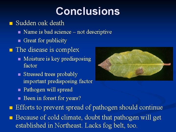 Conclusions n Sudden oak death n n n The disease is complex n n