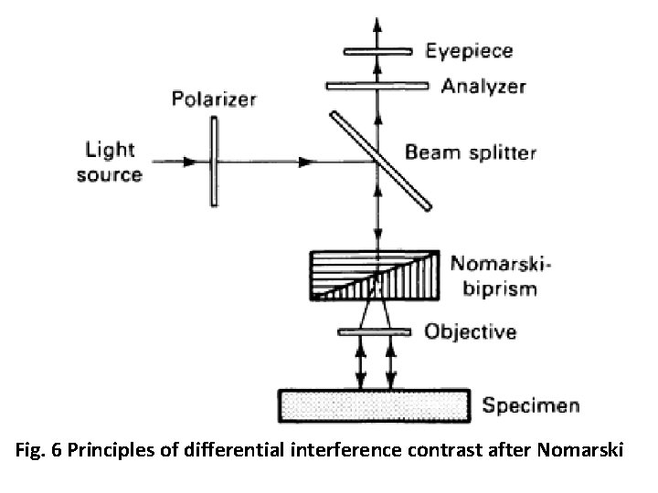 Fig. 6 Principles of differential interference contrast after Nomarski Fig. 6 Principles of differential interference contrast after Nomarski