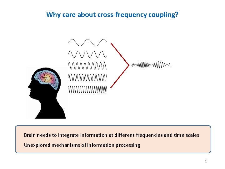 Why care about cross-frequency coupling? Brain needs to integrate information at different frequencies and