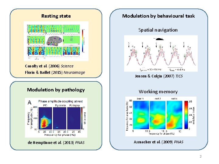 Resting state Modulation by behavioural task Spatial navigation Canolty et al. (2006) Science Florin