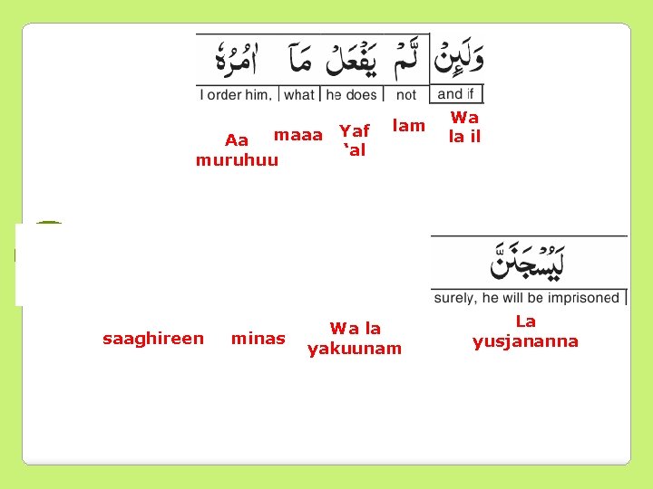 maaa Aa muruhuu Yaf ‘al lam Wa la il 32 saaghireen minas Wa la