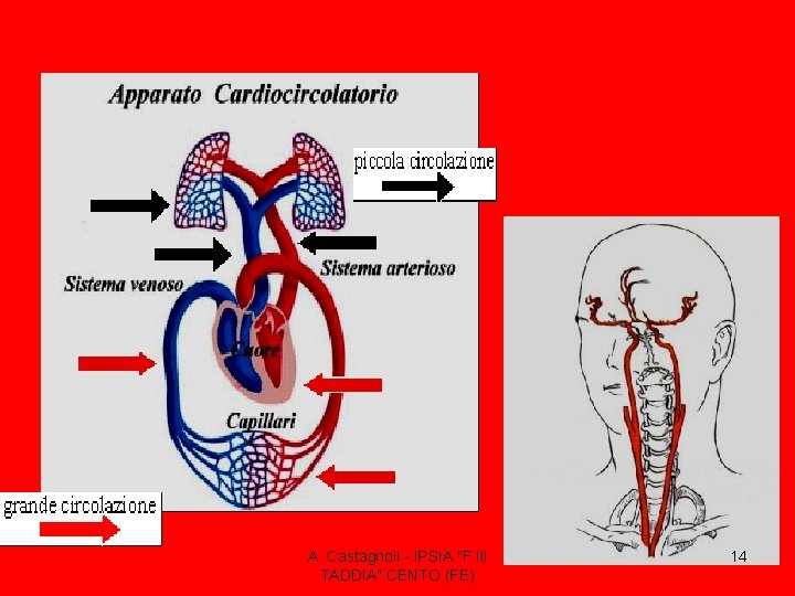 A. Castagnoli - IPSIA "F. lli TADDIA" CENTO (FE) 14 