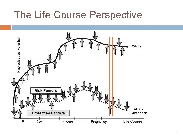 The Life Course Perspective Lu MC, Halfon N. Racial and ethnic disparities in birth