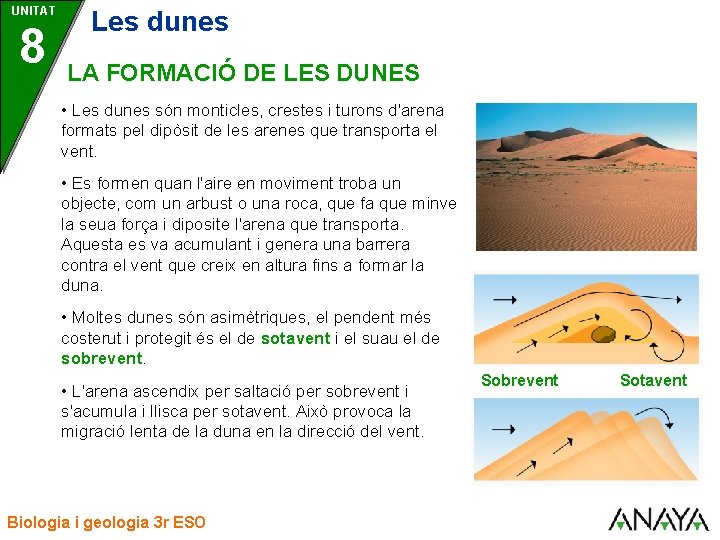 UNITAT 8 Les dunes LA FORMACIÓ DE LES DUNES • Les dunes són monticles,