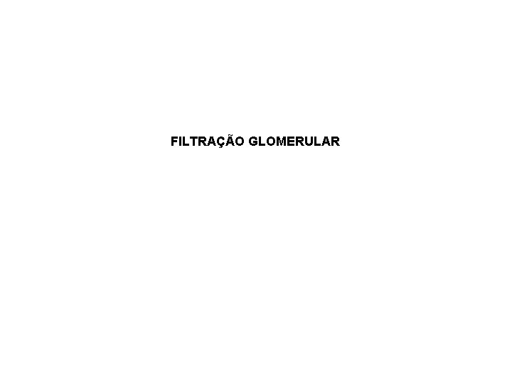 FILTRAÇÃO GLOMERULAR 