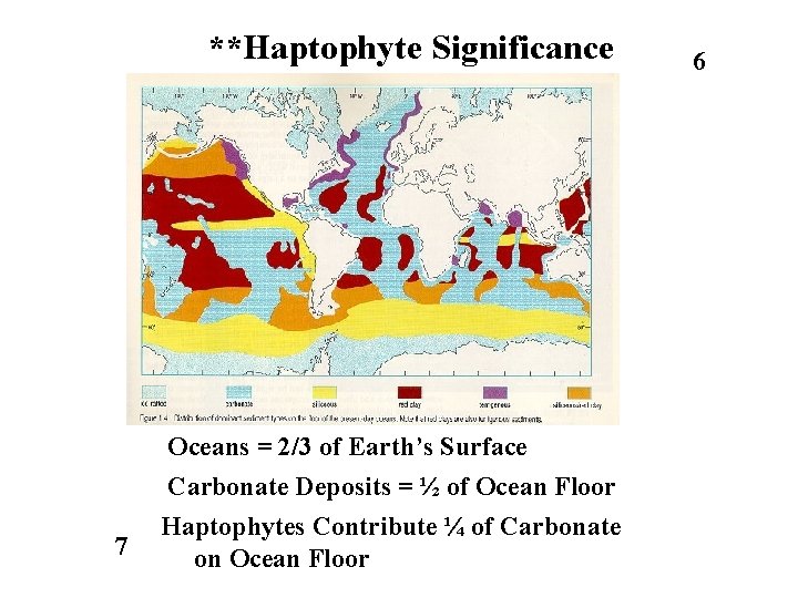 **Haptophyte Significance 7 Oceans = 2/3 of Earth’s Surface Carbonate Deposits = ½ of