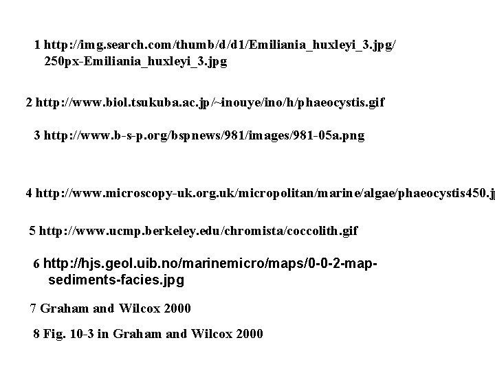1 http: //img. search. com/thumb/d/d 1/Emiliania_huxleyi_3. jpg/ 250 px-Emiliania_huxleyi_3. jpg 2 http: //www. biol.