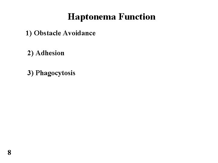 Haptonema Function 1) Obstacle Avoidance 2) Adhesion 3) Phagocytosis 8 