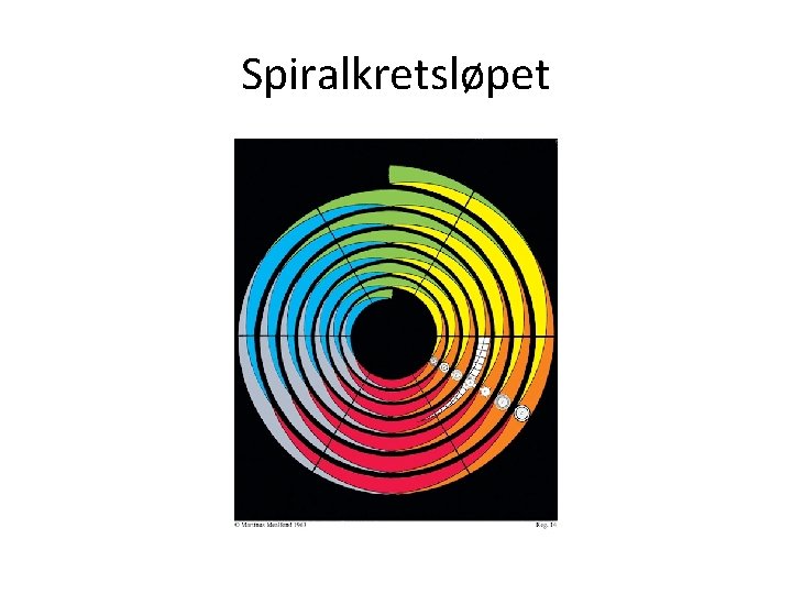 Spiralkretsløpet 