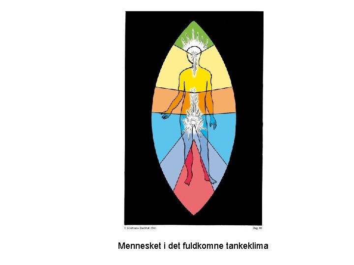 Mennesket i det fuldkomne tankeklima 