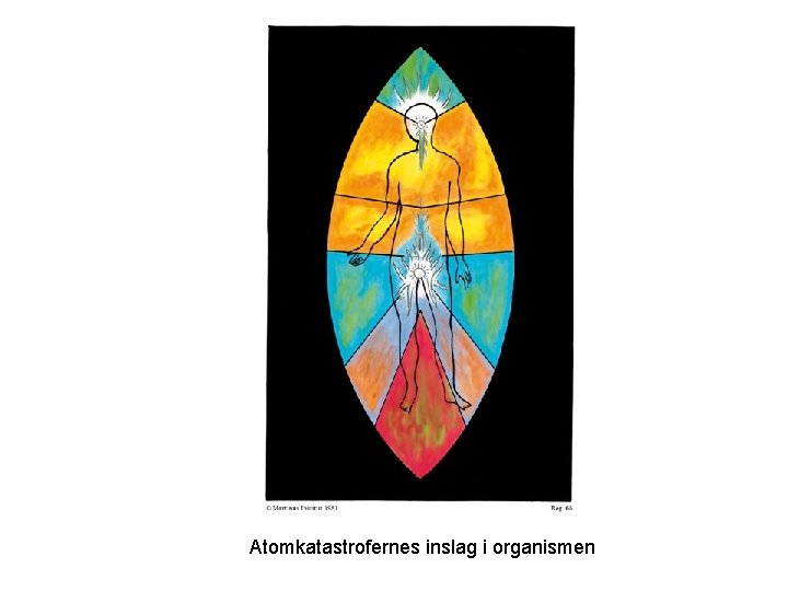 Atomkatastrofernes inslag i organismen 