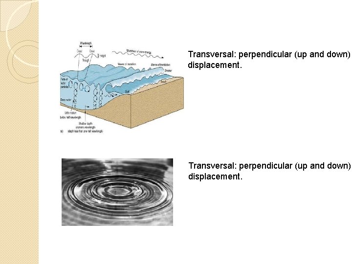 Transversal: perpendicular (up and down) displacement. Transversal: perpendicular (up and down) displacement.
