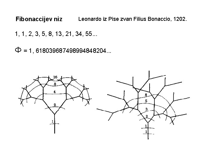 Fibonaccijev niz Leonardo iz Pise zvan Filius Bonaccio, 1202. 1, 1, 2, 3, 5, Fibonaccijev niz Leonardo iz Pise zvan Filius Bonaccio, 1202. 1, 1, 2, 3, 5,