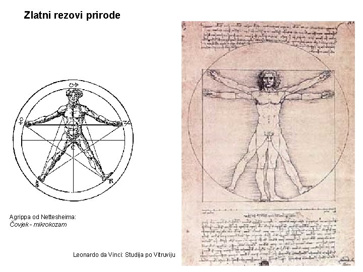 Zlatni rezovi prirode Agrippa od Nettesheima: Čovjek - mikrokozam Leonardo da Vinci: Studija po Zlatni rezovi prirode Agrippa od Nettesheima: Čovjek - mikrokozam Leonardo da Vinci: Studija po