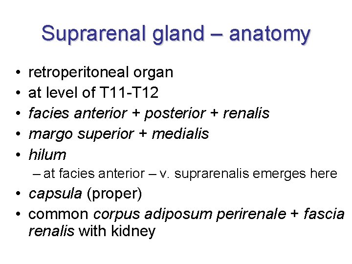 Suprarenal gland – anatomy • • • retroperitoneal organ at level of T 11 Suprarenal gland – anatomy • • • retroperitoneal organ at level of T 11