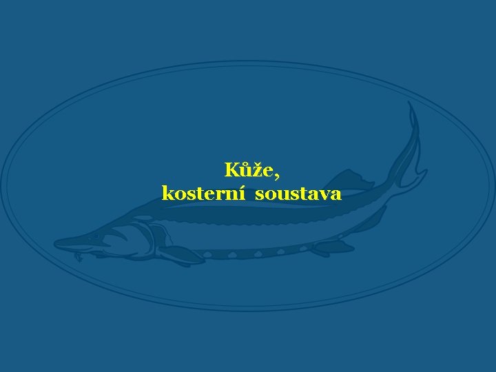 Kůže, kosterní soustava 