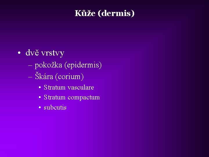 Kůže (dermis) • dvě vrstvy – pokožka (epidermis) – Škára (corium) • Stratum vasculare