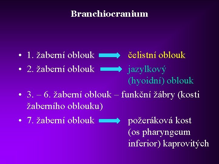 Branchiocranium • 1. žaberní oblouk • 2. žaberní oblouk čelistní oblouk jazylkový (hyoidní) oblouk