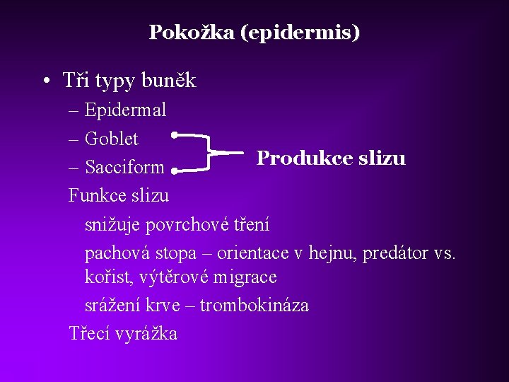 Pokožka (epidermis) • Tři typy buněk – Epidermal – Goblet Produkce slizu – Sacciform