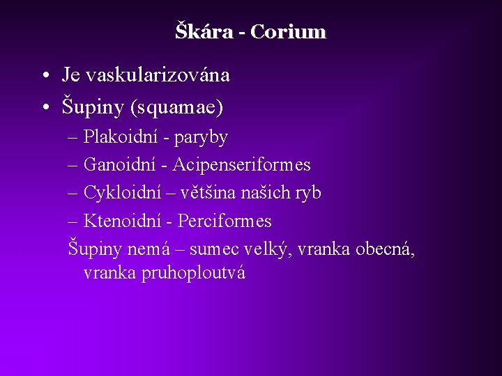Škára - Corium • Je vaskularizována • Šupiny (squamae) – Plakoidní - paryby –