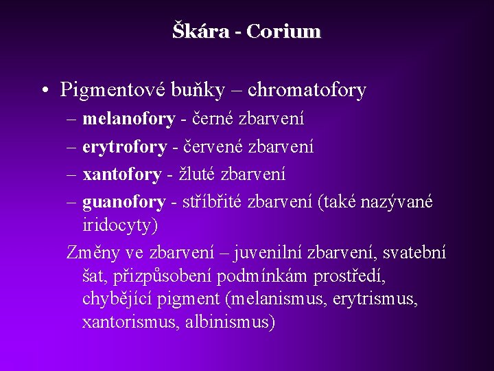 Škára - Corium • Pigmentové buňky – chromatofory – melanofory - černé zbarvení –