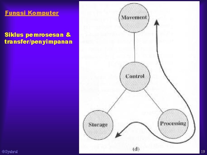 Fungsi Komputer Siklus pemrosesan & transfer/penyimpanan Syahrul 19 
