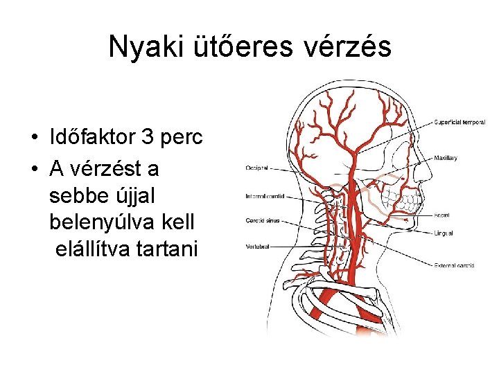 Nyaki ütőeres vérzés • Időfaktor 3 perc • A vérzést a sebbe újjal belenyúlva