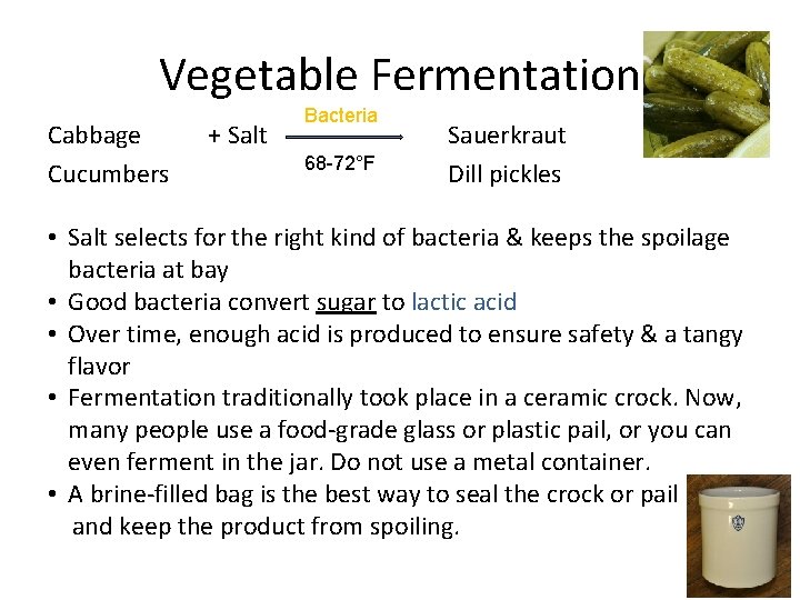 Vegetable Fermentation Cabbage Cucumbers + Salt Bacteria 68 -72°F Sauerkraut Dill pickles • Salt