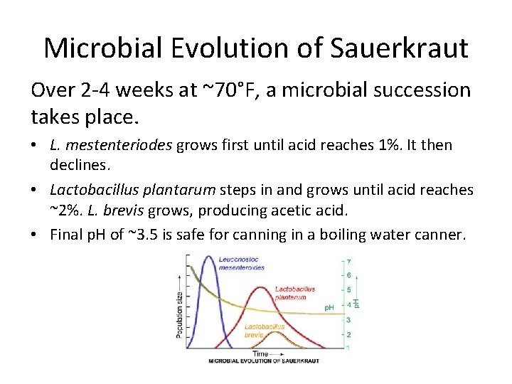 Microbial Evolution of Sauerkraut Over 2 -4 weeks at ~70°F, a microbial succession takes