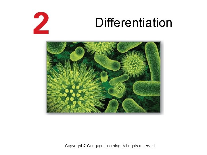 Differentiation Copyright © Cengage Learning. All rights reserved. Differentiation Copyright © Cengage Learning. All rights reserved.