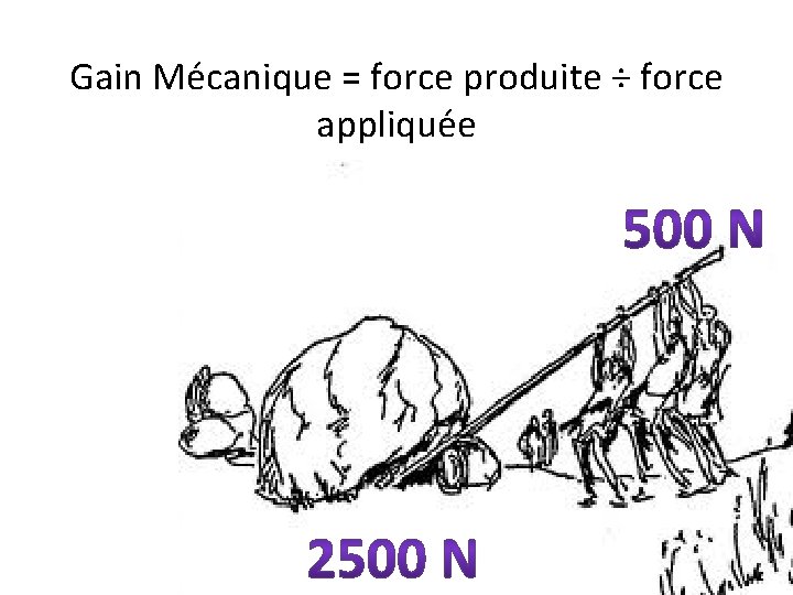 Gain Mécanique = force produite ÷ force appliquée 