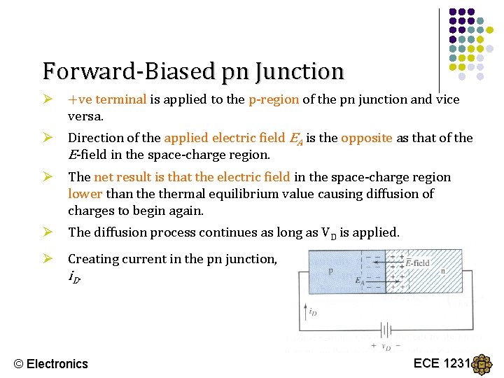 Forward-Biased pn Junction Ø +ve terminal is applied to the p-region of the pn