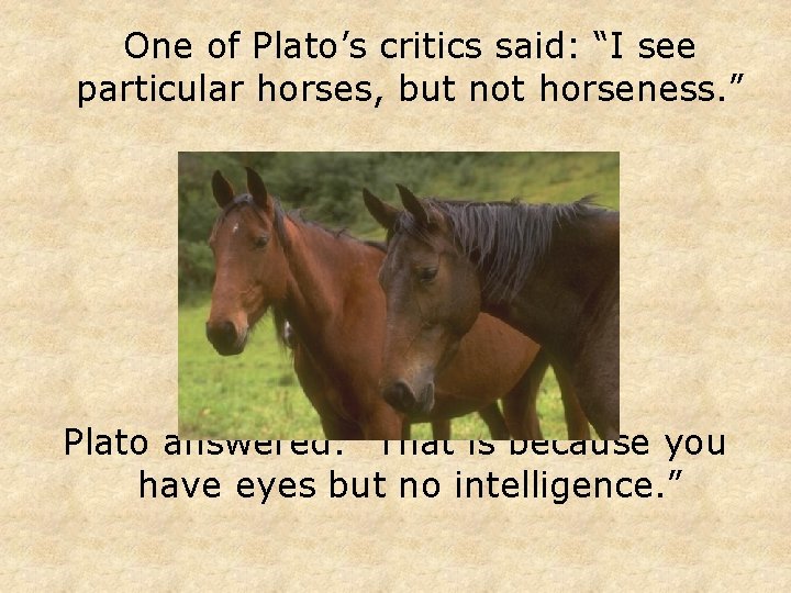 One of Plato’s critics said: “I see particular horses, but not horseness. ” Plato